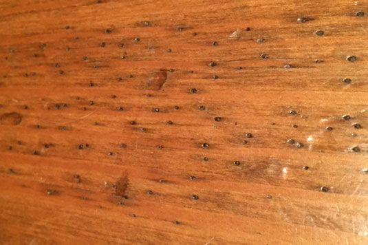 Custom Treatment Options Historic, Small Holes In Hardwood Floor
